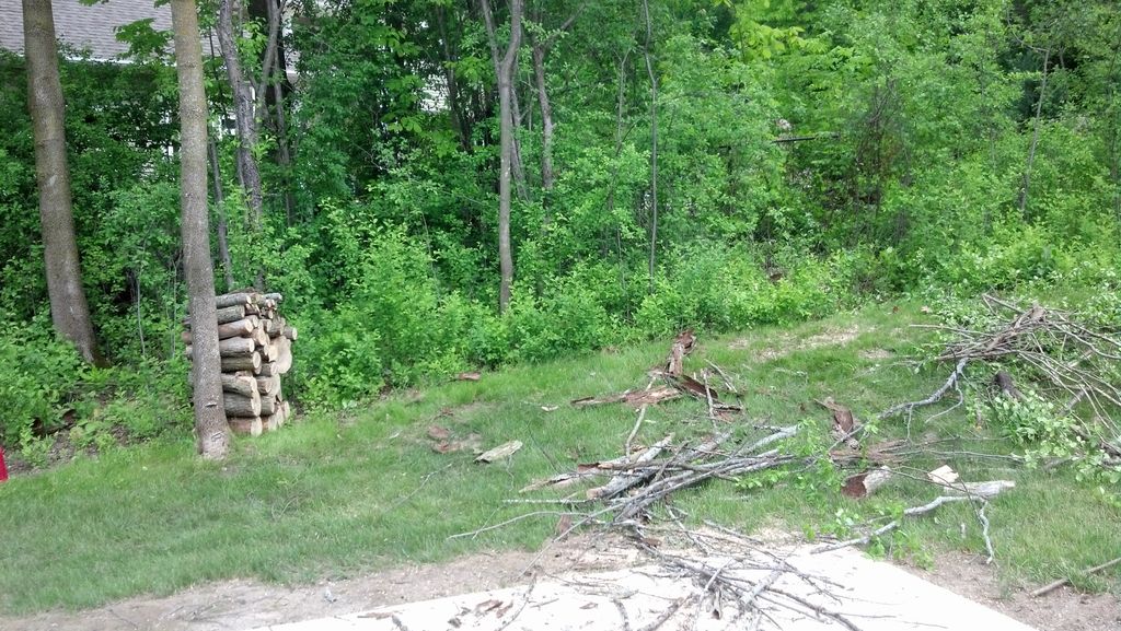 We cut them down, grind the stump, split'em for fi