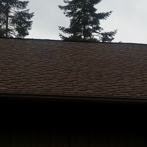 roof we're about to clean moss off of!!
