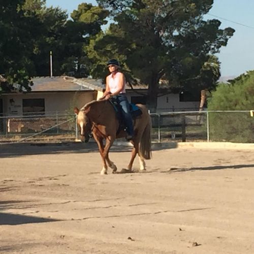 Sue riding lesson horse, Trixie