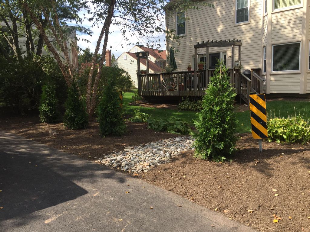 Removed 10 trees with stumps, planted 6 green gian