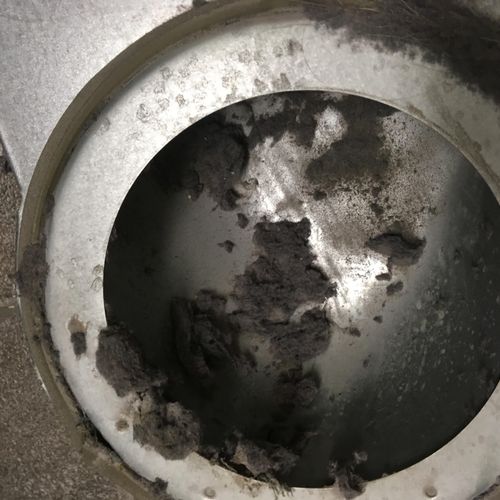 Picture of a dryer clean out. 