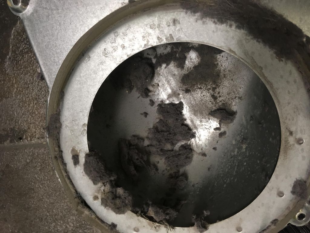 Picture of a dryer clean out. 