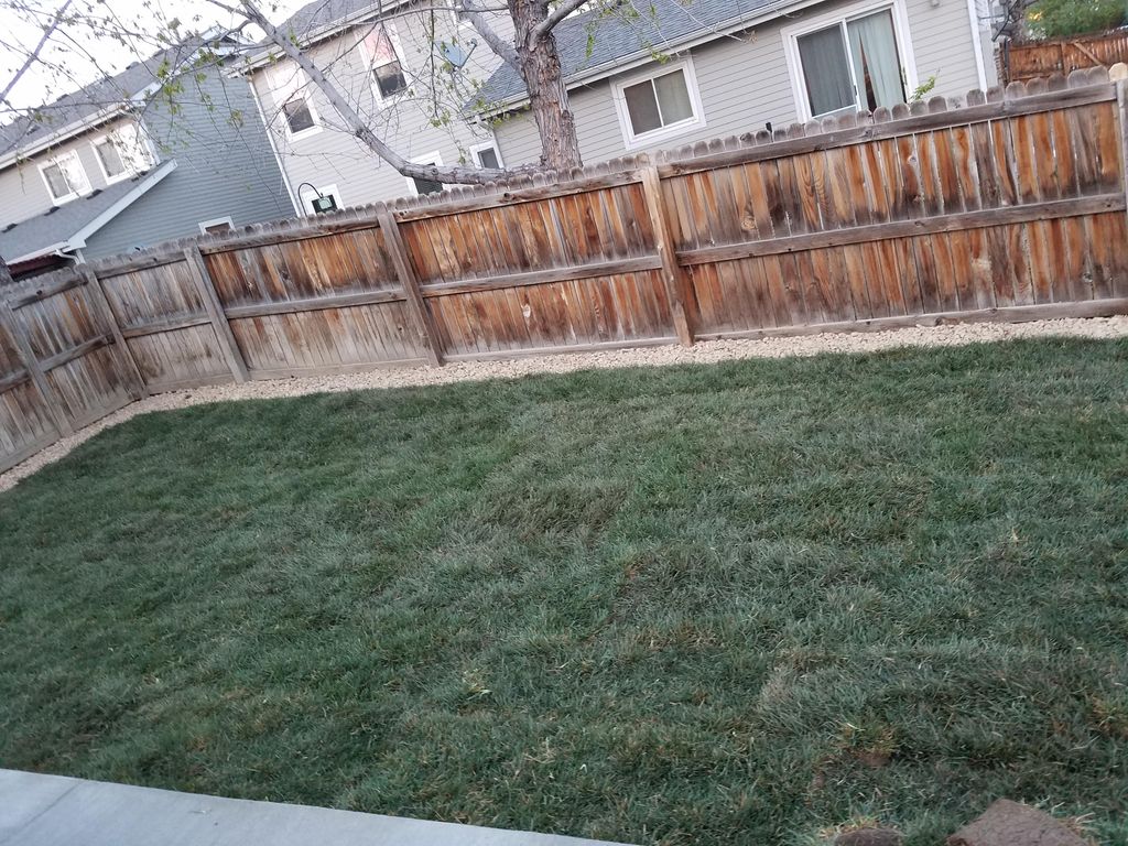 Colorado premium sod and local river rock