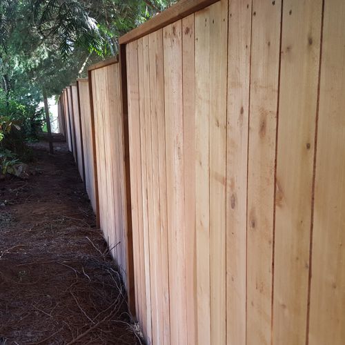 6 foot tall Cedar privacy fence with top cap