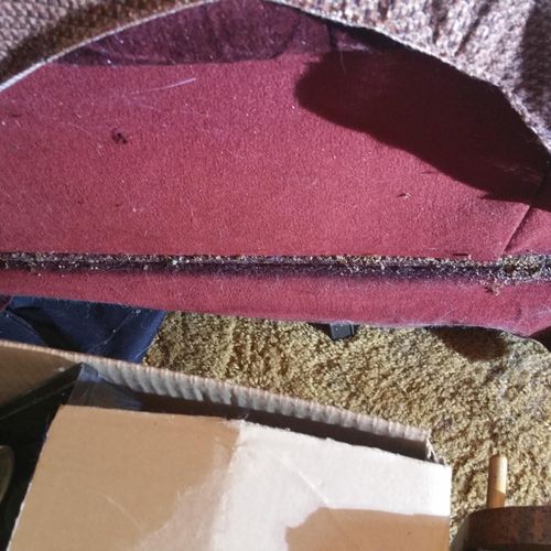 Heavily infested couch (bed bugs)