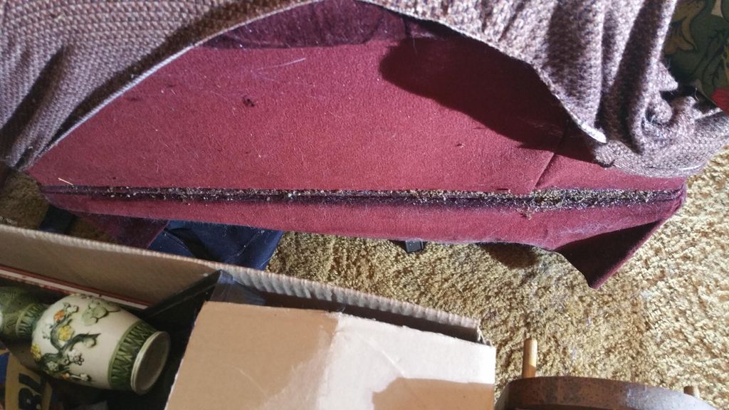 Heavily infested couch (bed bugs)