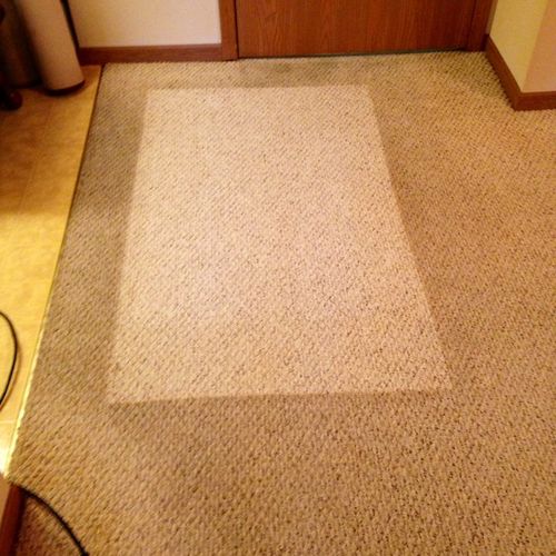 This carpet has not been cleaned in years