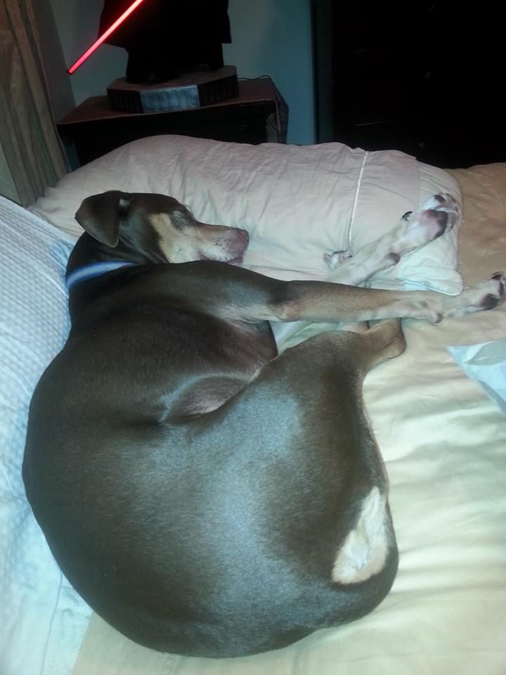 Mr. "Duke" does not like to be disturbed after squ
