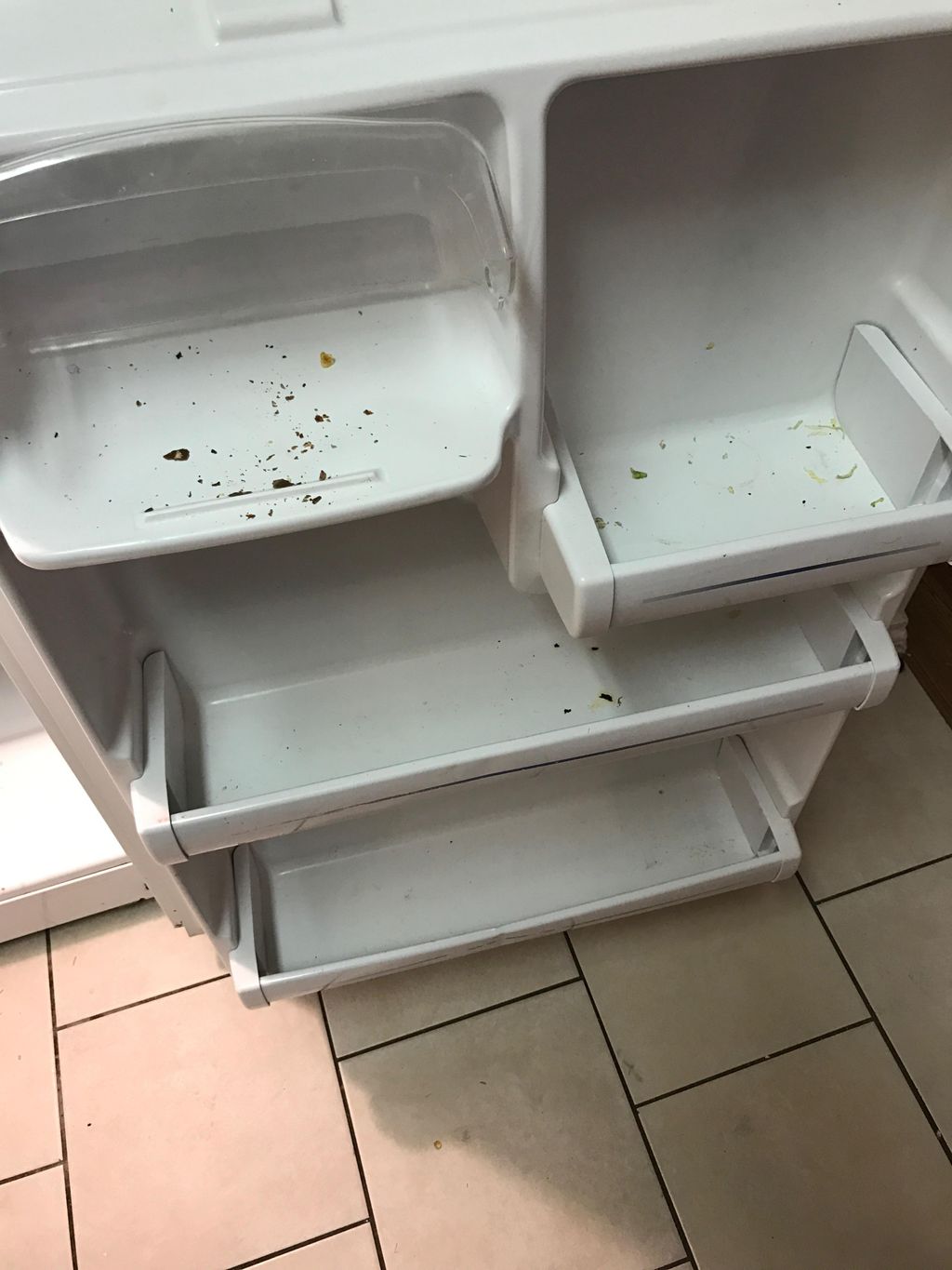 inside fridge-before