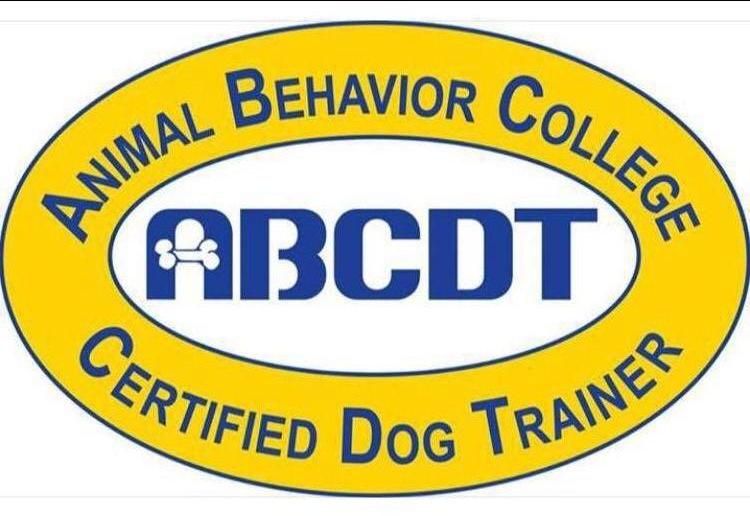 ABCDT Certified  dog obedience trainer