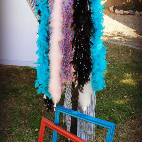 Frames, Feathers and FUN!