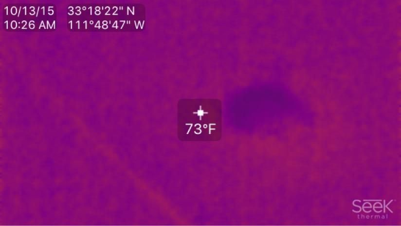 Infra-red camera showing mold inside the wall duri