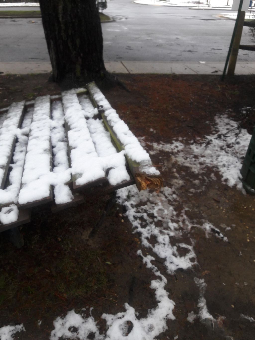 Nor' Easter Quinn ......Knocked over fence.