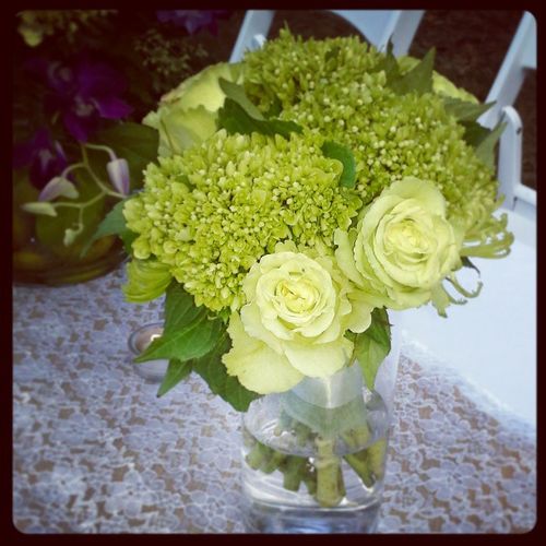 Hydrangea, green roses. Bridesmaids bouquet.