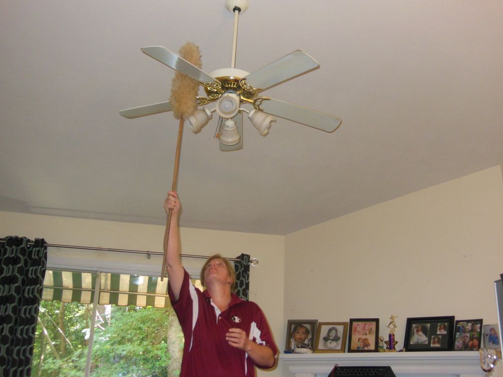 We take care of the extras - including ceiling fan