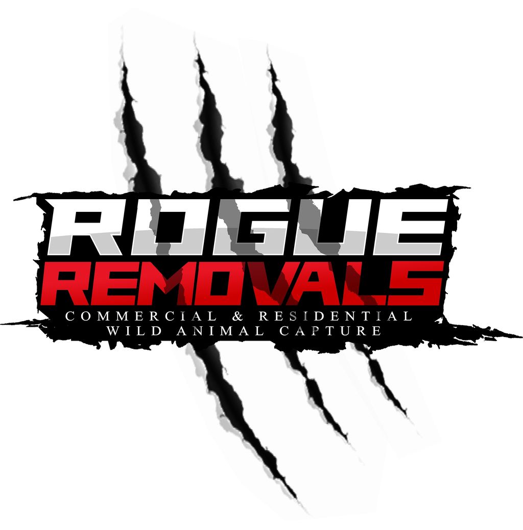 Rogue Removals