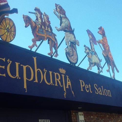 One of my Public Art projects for Euphuria Pet Sal
