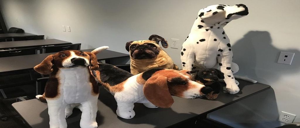 Our "Patients"