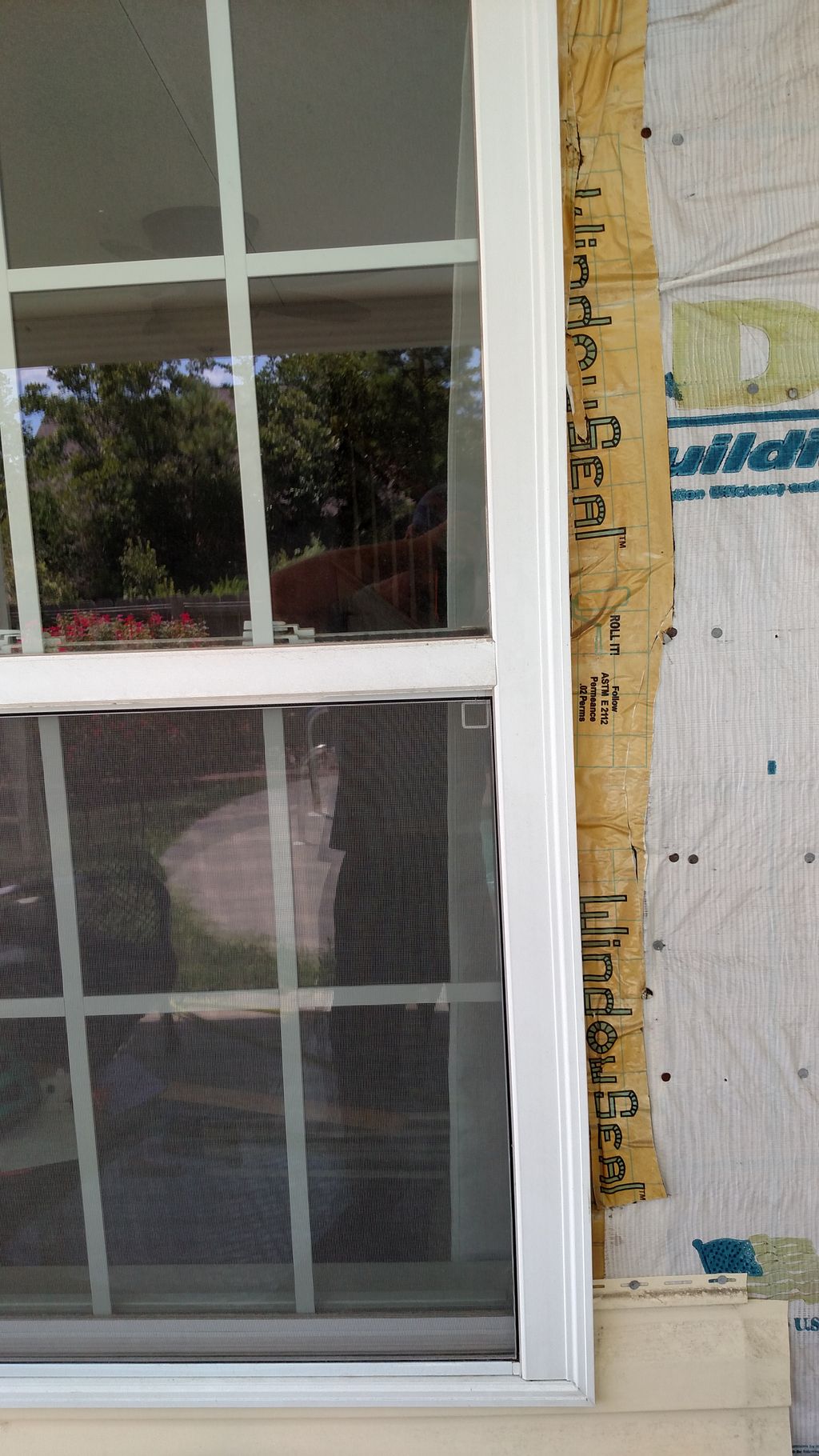 New window and siding