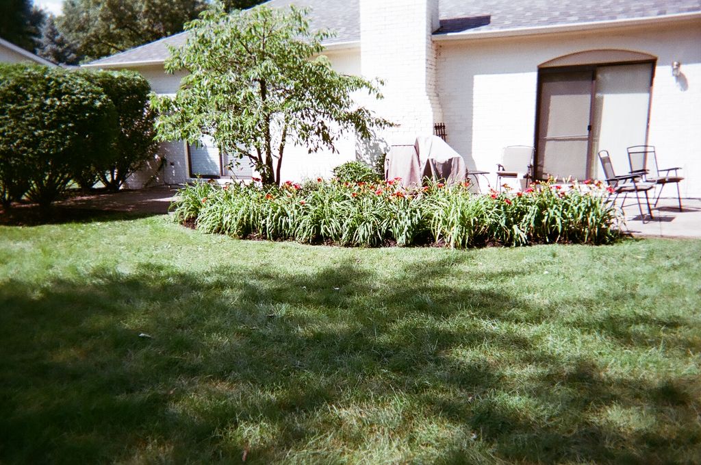 Project: Our house is overgrown and out of control