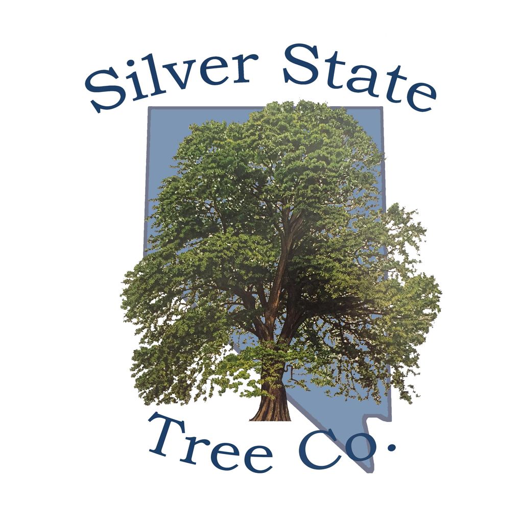 Silver State Tree Company