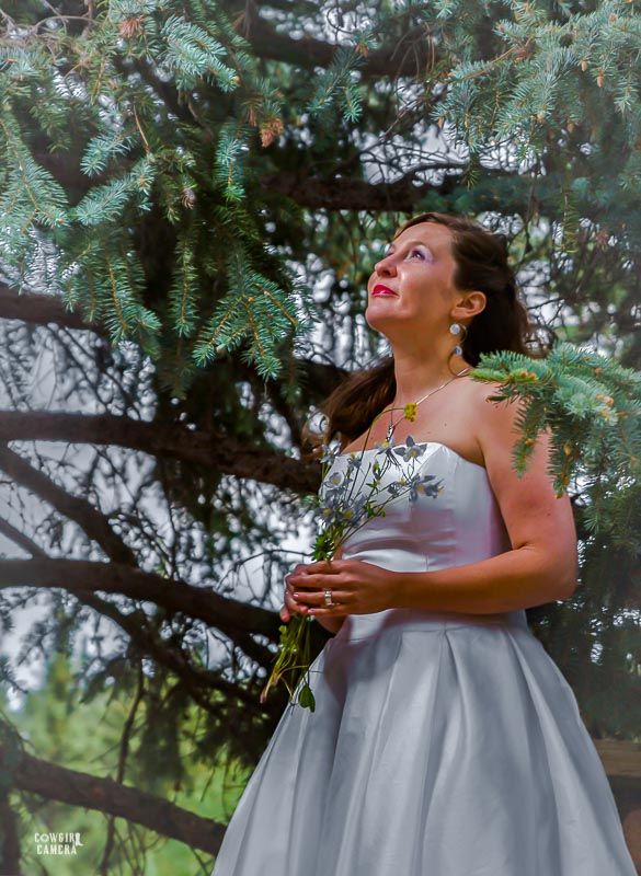 Beautiful Bride in the Pines