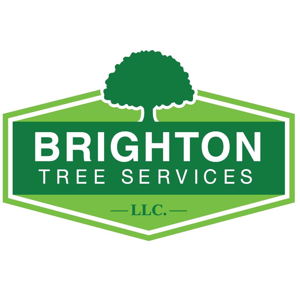 Brighton Tree Services