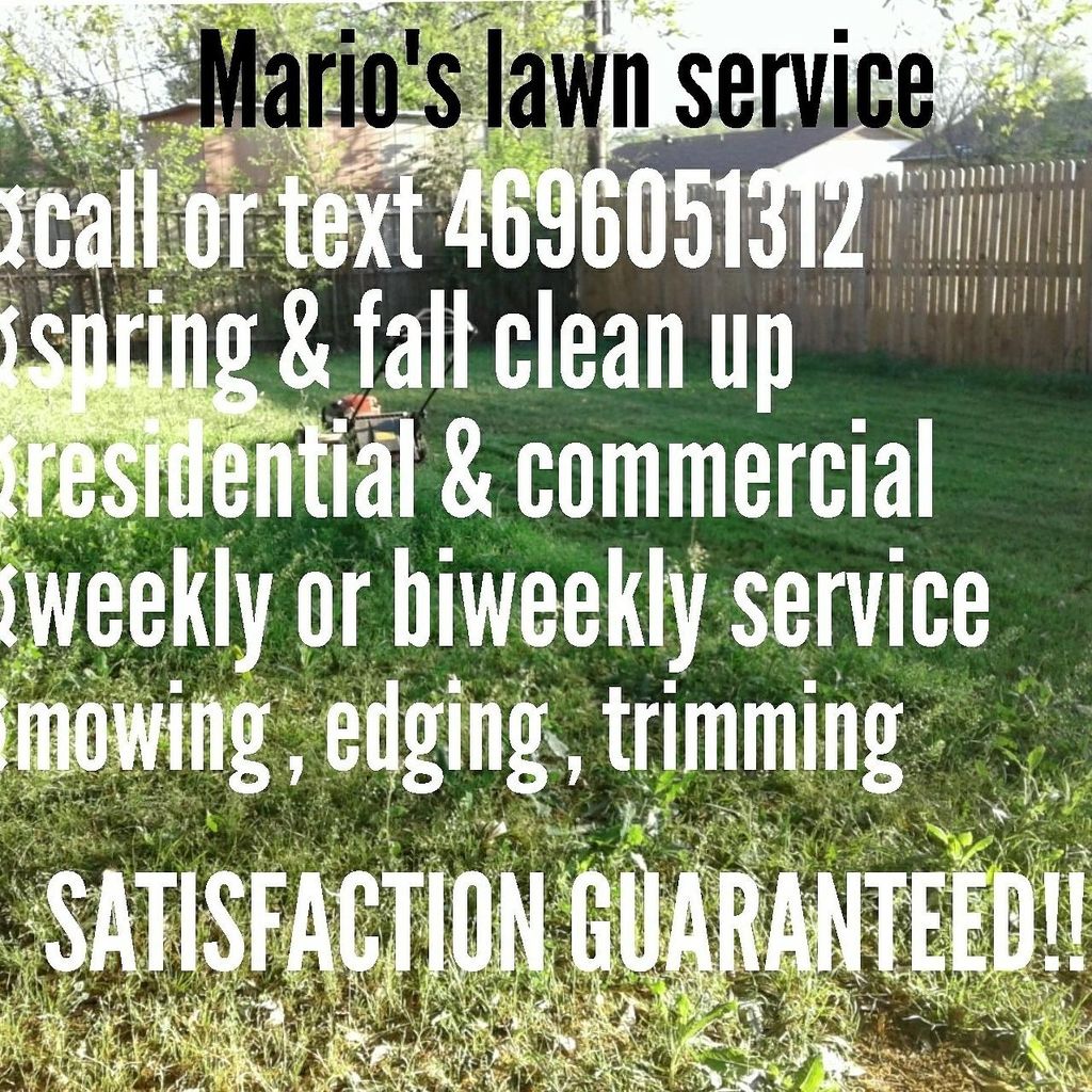Mario's lawn service