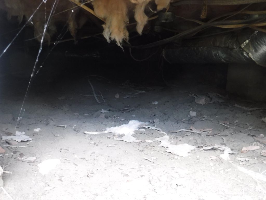 Crawl Space Inspection