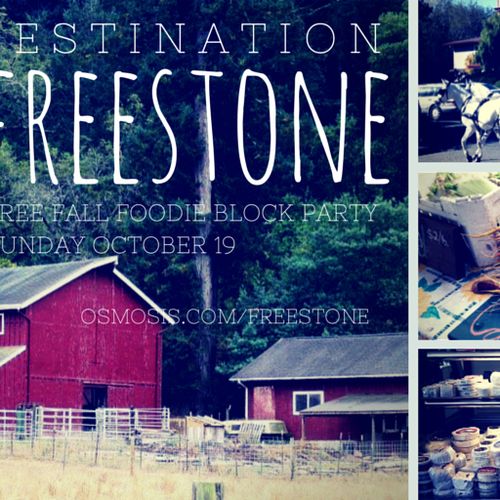 Telling the story for Destination Freestone -- a f