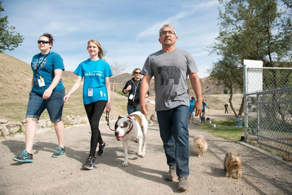 Learning From the "Dog Whisperer" himself, Cesar M