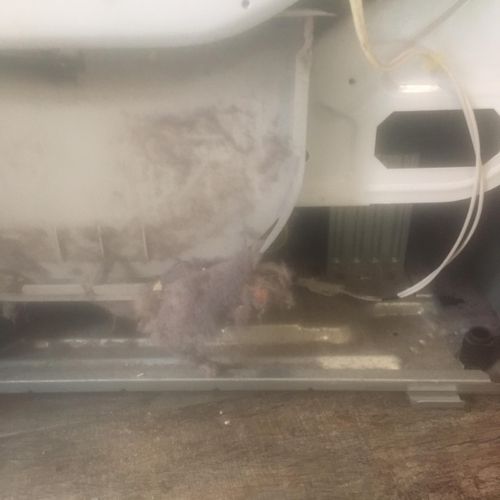 LG Dryer needed cleaning 