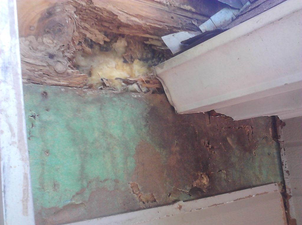 Water damage & termites were eating away at the st