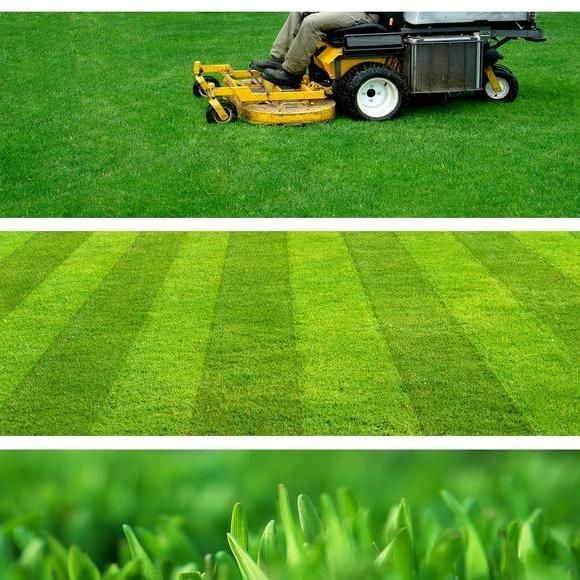 Greenscapes of Maryland