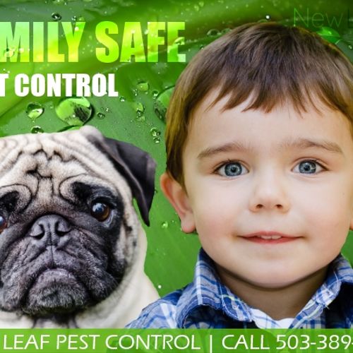 Safe for kids and pets