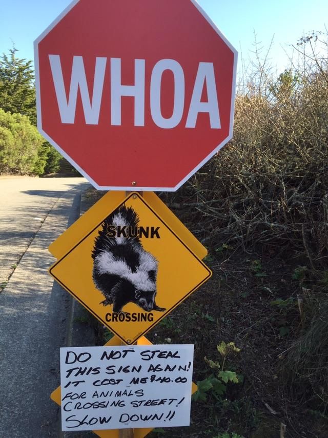 Town of Bolinas CA, the town with no exit sign💜