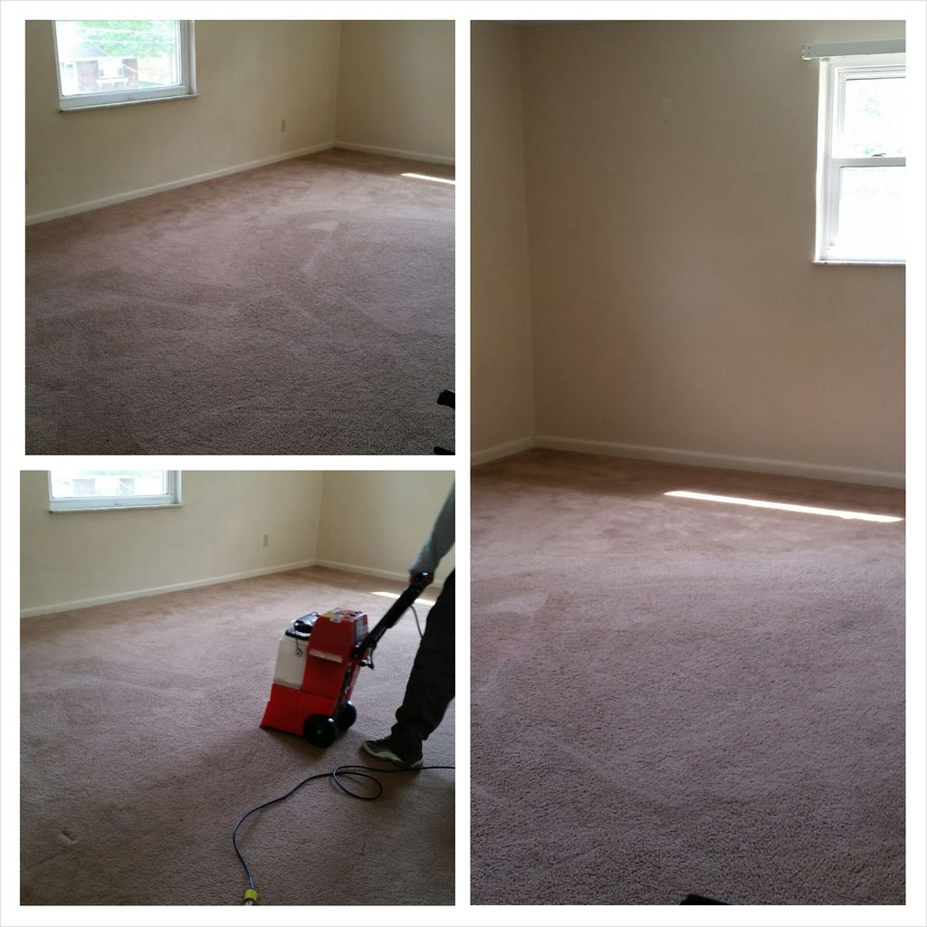Carpet Cleaning