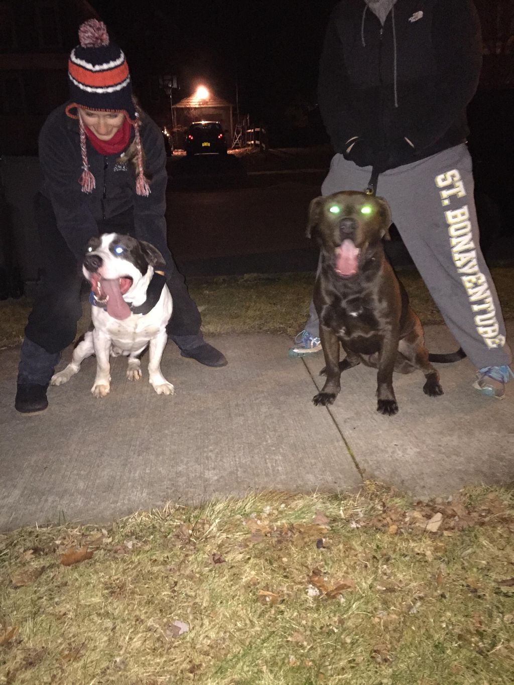 Moe and Tank enjoying their winter walk!