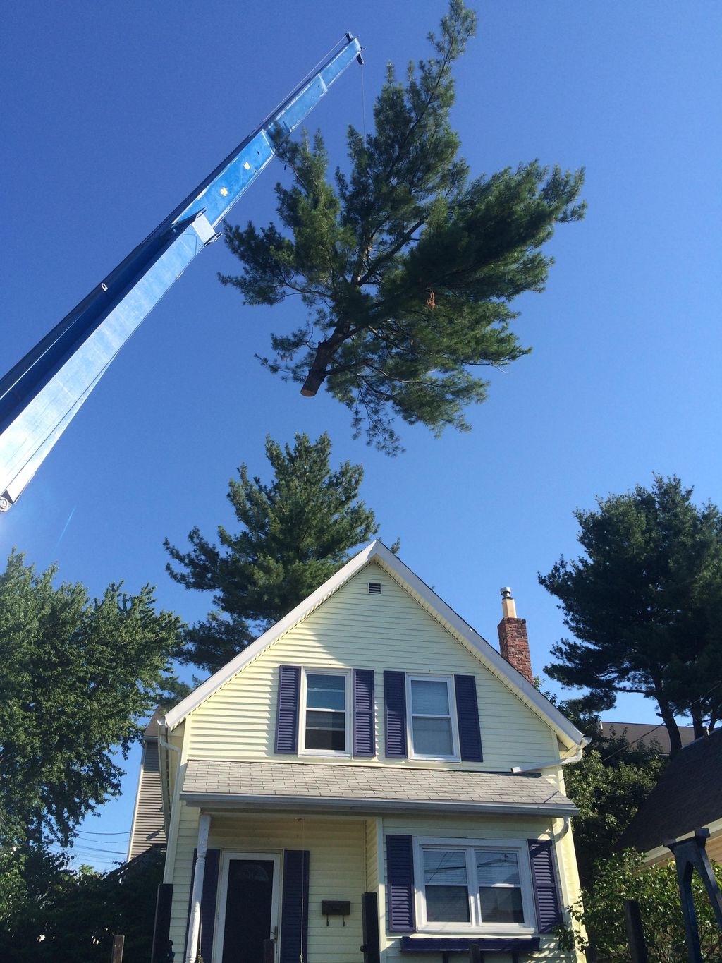 During crane removal