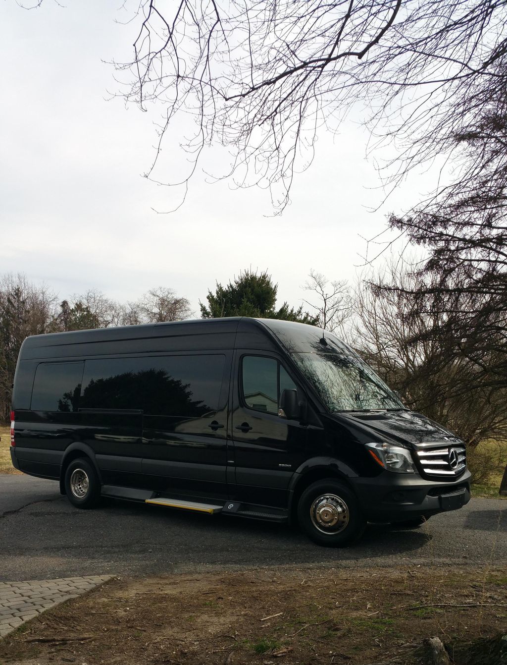 15 passenger - BRAND NEW MERCEDES LIMO BUS