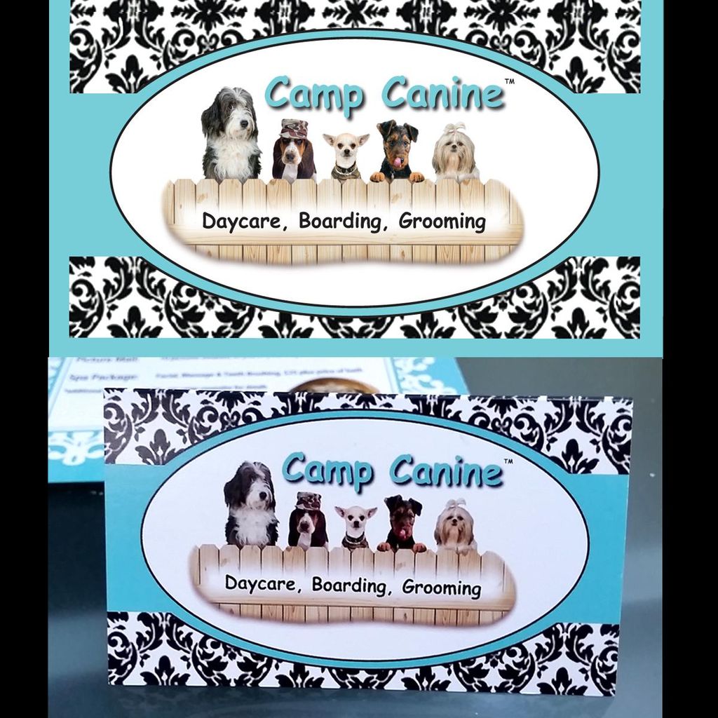 Double business cards for Camp Canine