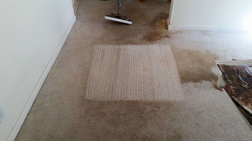 Our 3 step pet treatment process