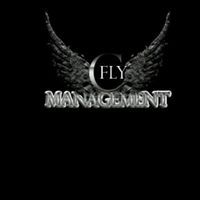 C-Fly Management, LLC