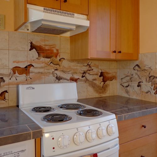 This kitchen features imagery from Stone Age caves