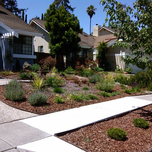 Custom landscape design with native plants and gra