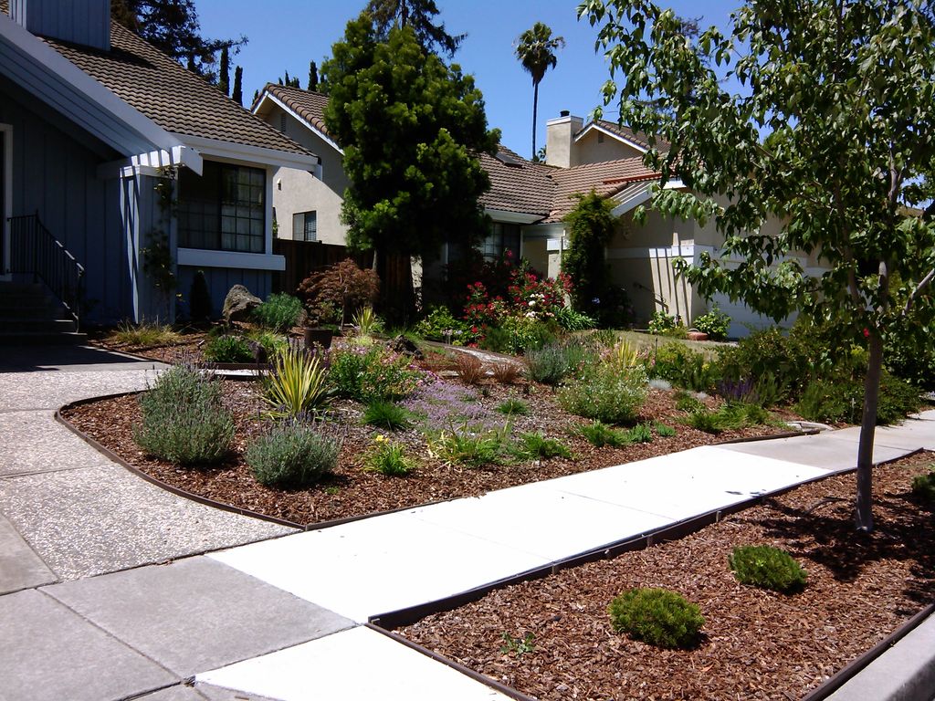 Custom landscape design with native plants and gra