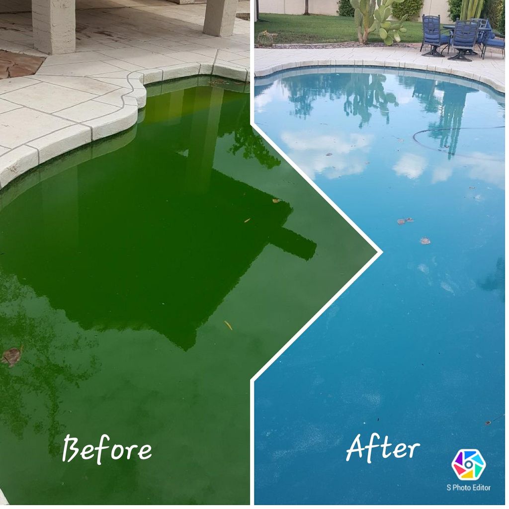 Blue Reef Pool Service and repairs