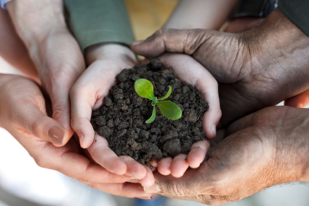 Growing a company is like growing a plant.  I see 