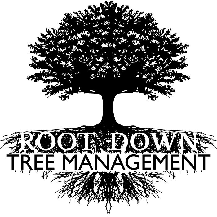 Root Down Tree Management