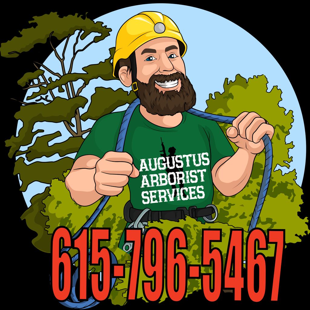 Augustus Arborist Services